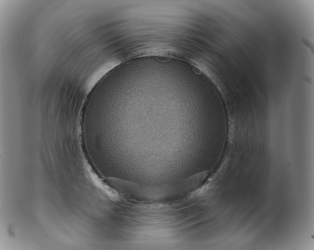 X0000099381042200805221801