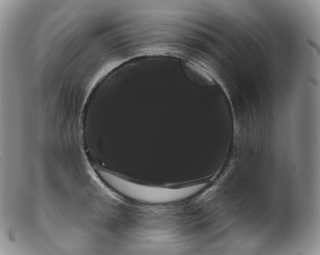 X0000099381045200805221801