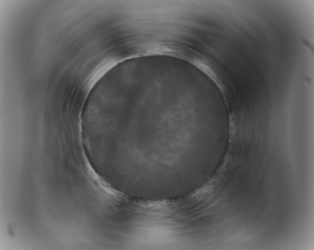 X0000099381047200805221801