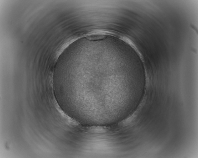 X0000099381049200805221801