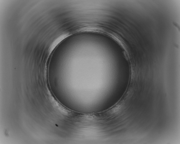 X0000099381050200805221801