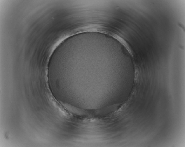 X0000099381051200805221801