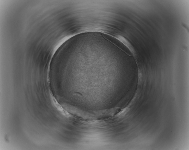 X0000099381052200805221801