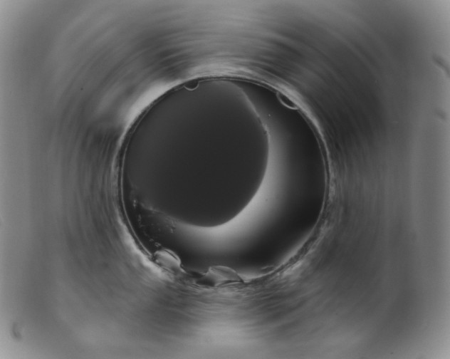 X0000099381053200805221801