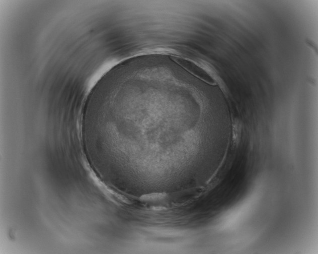 X0000099381054200805221801