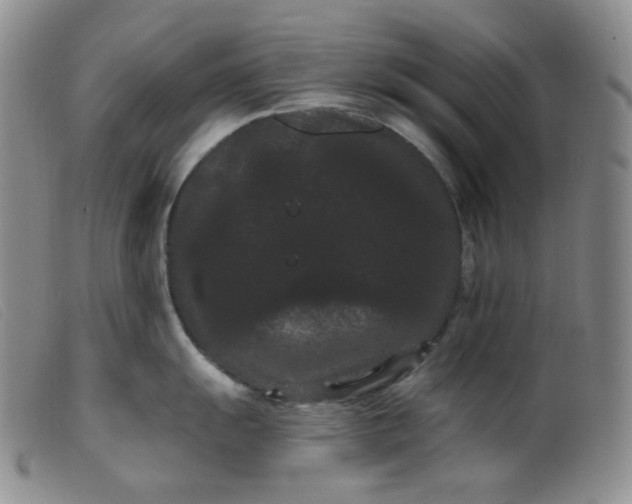 X0000099381055200805221801