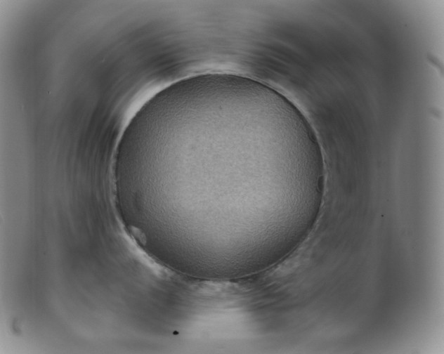 X0000099381056200805221801