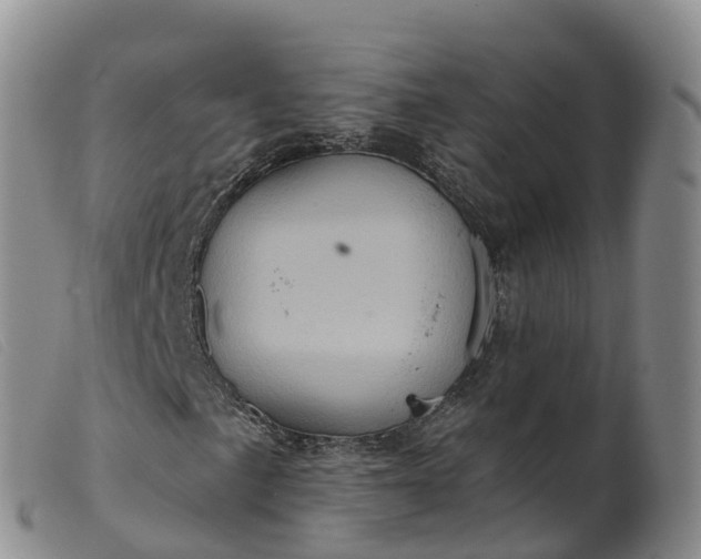 X0000099381057200805221800