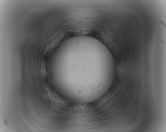 X0000099381058200805221800