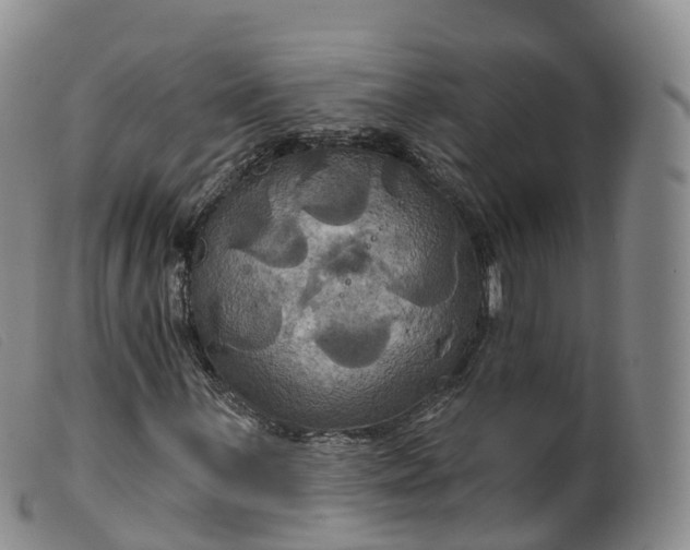 X0000099381059200805221800