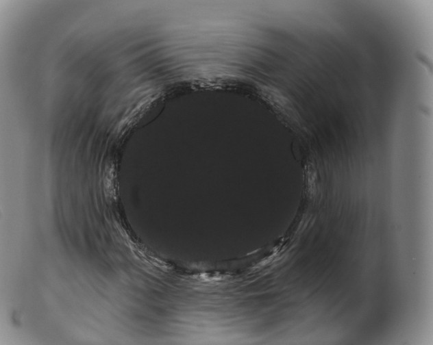 X0000099381060200805221800