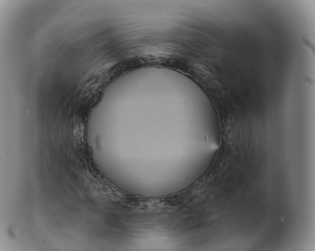 X0000099381061200805221800