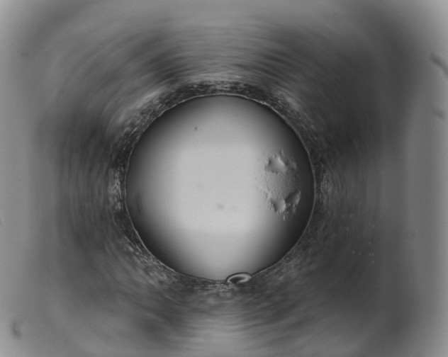 X0000099381062200805221800