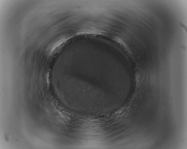 X0000099381064200805221800