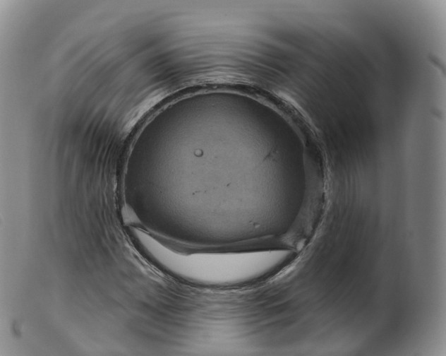 X0000099381065200805221800