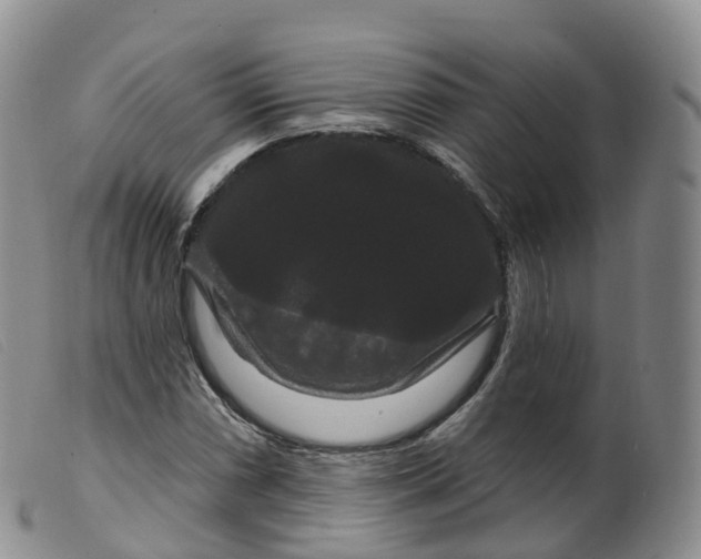 X0000099381066200805221800