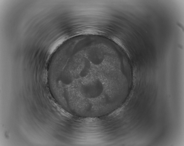 X0000099381067200805221800