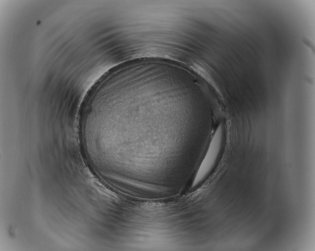 X0000099381068200805221800