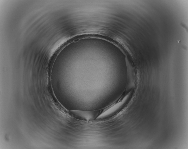 X0000099381069200805221800