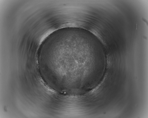 X0000099381070200805221800