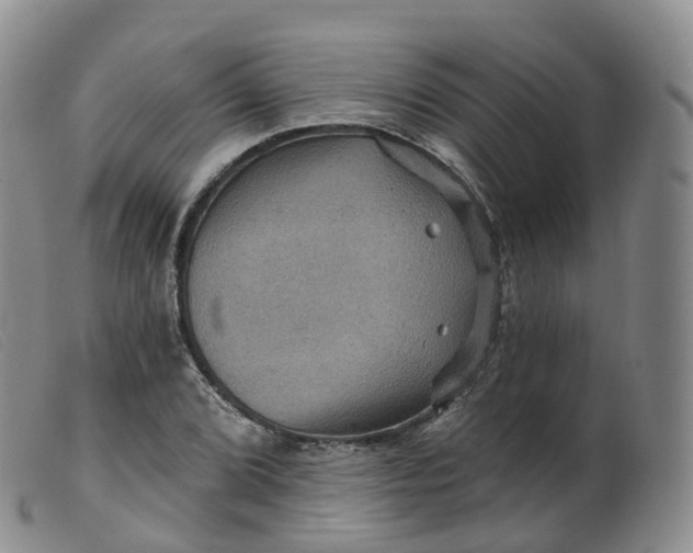 X0000099381072200805221800