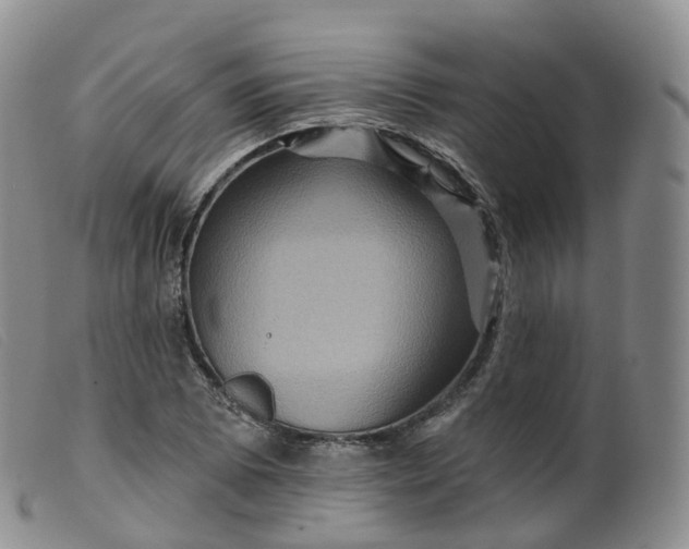 X0000099381073200805221800