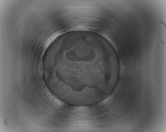 X0000099381075200805221800