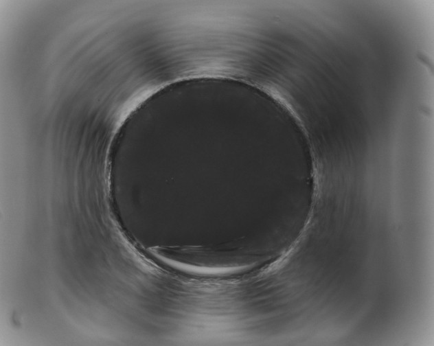 X0000099381077200805221800