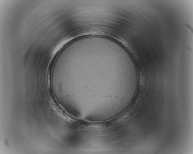 X0000099381078200805221800