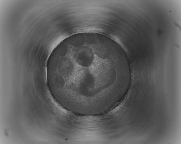 X0000099381079200805221800