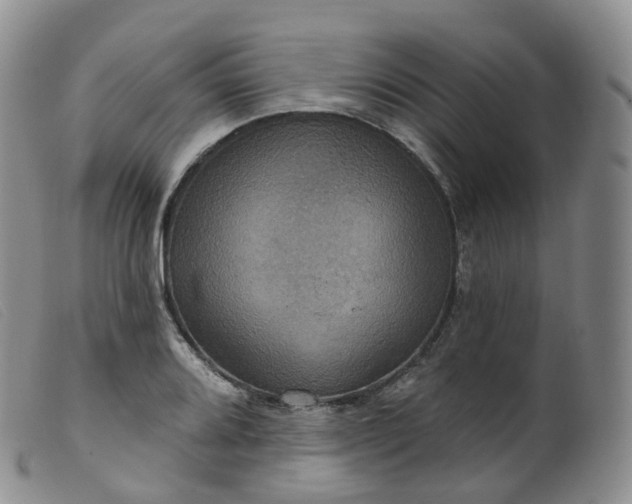 X0000099381080200805221800