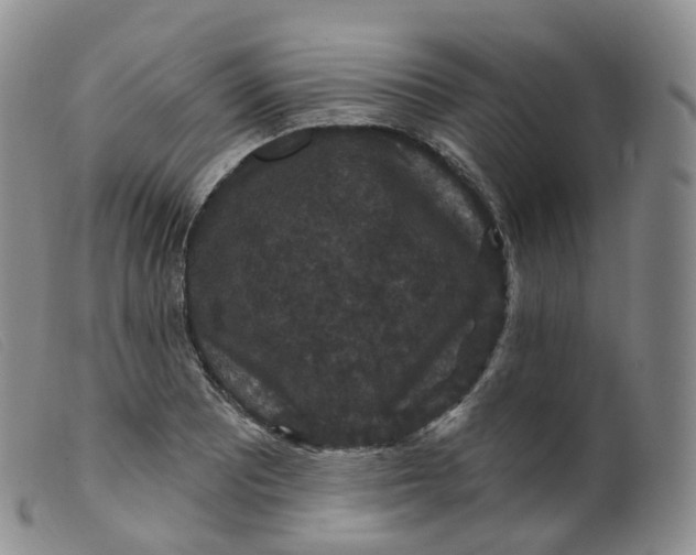 X0000099381081200805221800