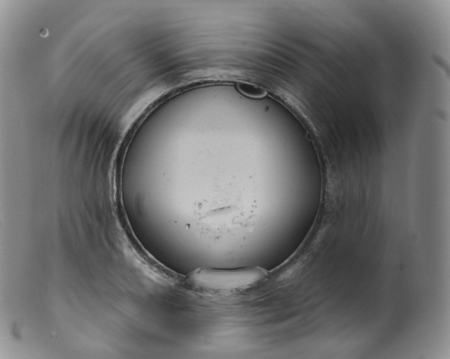 X0000099381082200805221800