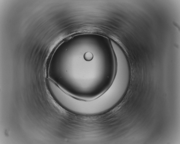 X0000099381083200805221800