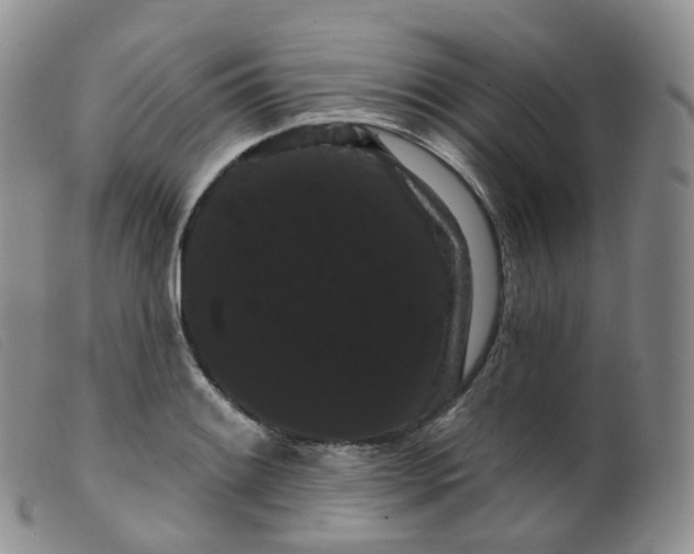 X0000099381084200805221800