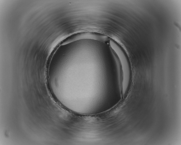 X0000099381085200805221800