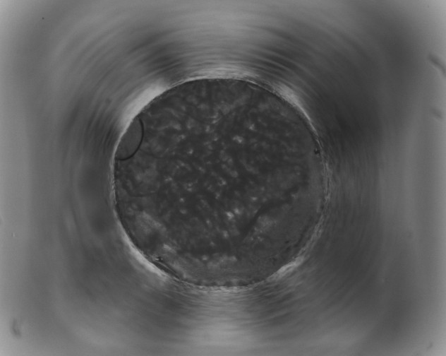 X0000099381087200805221800