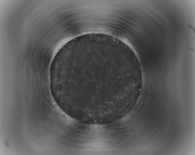 X0000099381088200805221800