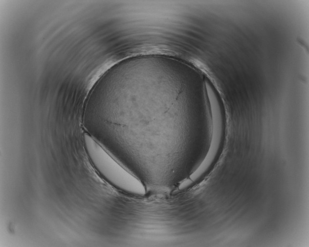 X0000099381089200805221800