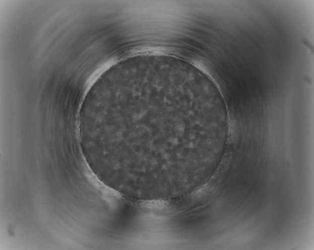 X0000099381090200805221800