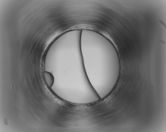 X0000099381091200805221800