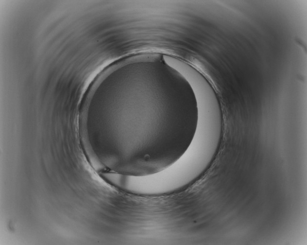 X0000099381092200805221800