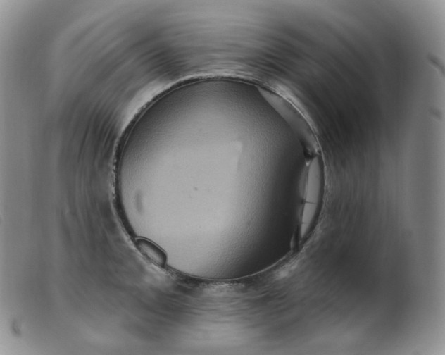 X0000099381093200805221800