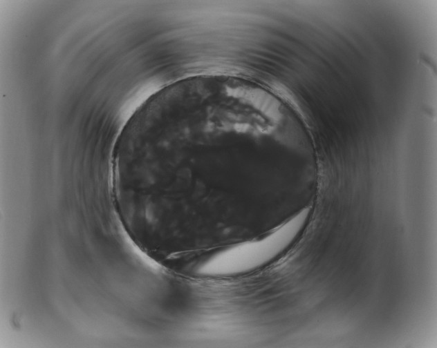 X0000099381095200805221800