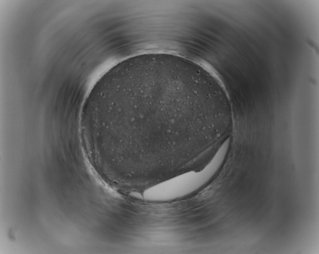 X0000099381096200805221800