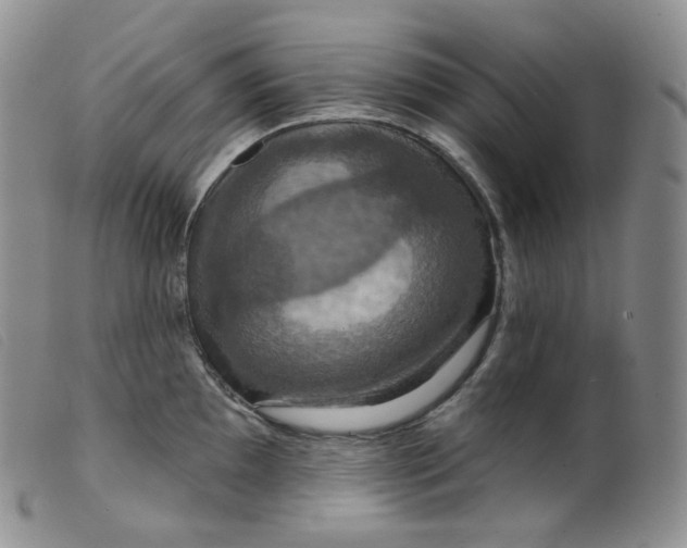 X0000099381097200805221800