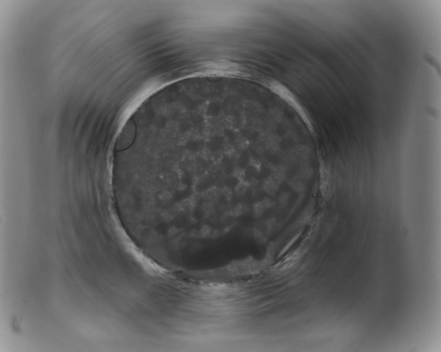 X0000099381099200805221800