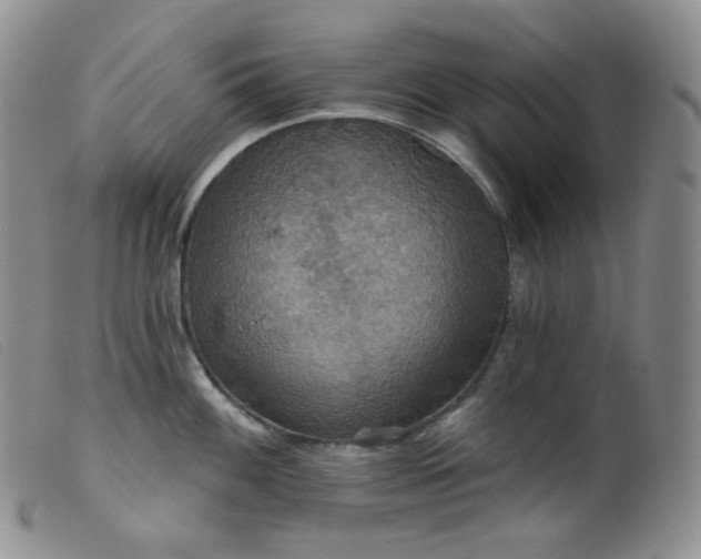 X0000099381100200805221800