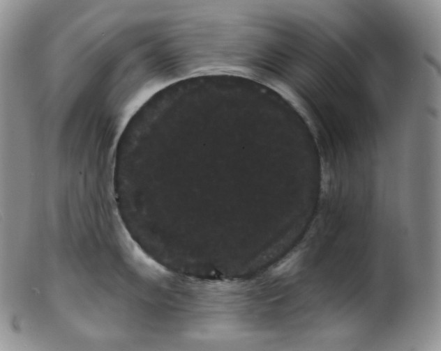 X0000099381102200805221800