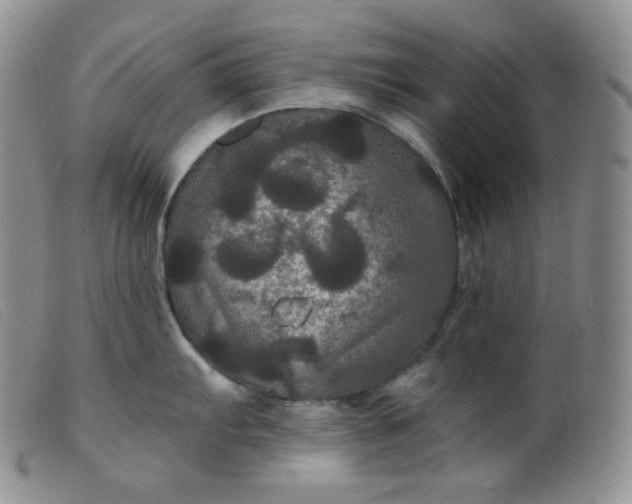 X0000099381103200805221800